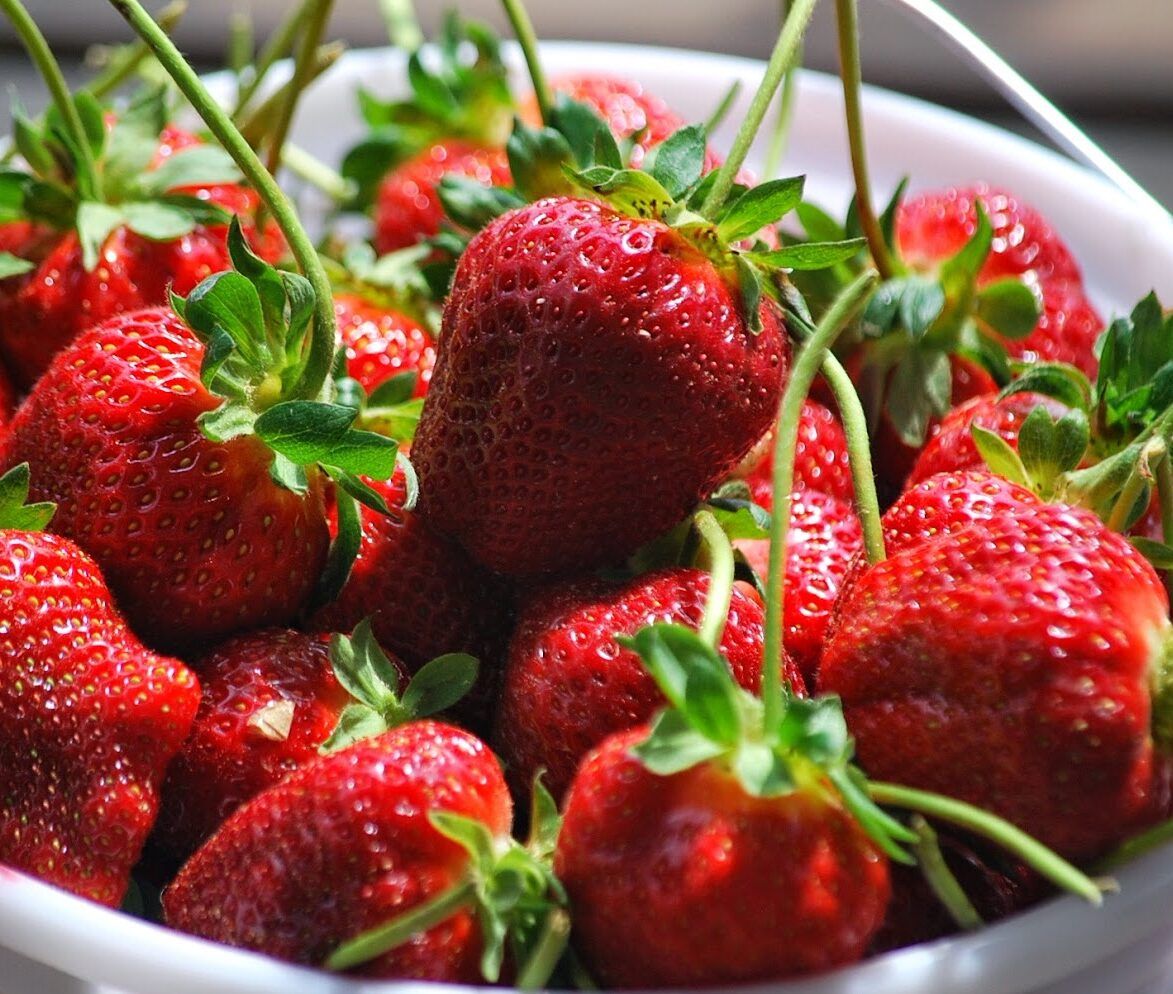 Клубника Презент