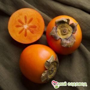 Хурма Сладкий Секрет